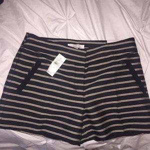 Brand new Ann Taylor Loft Riviera striped shorts